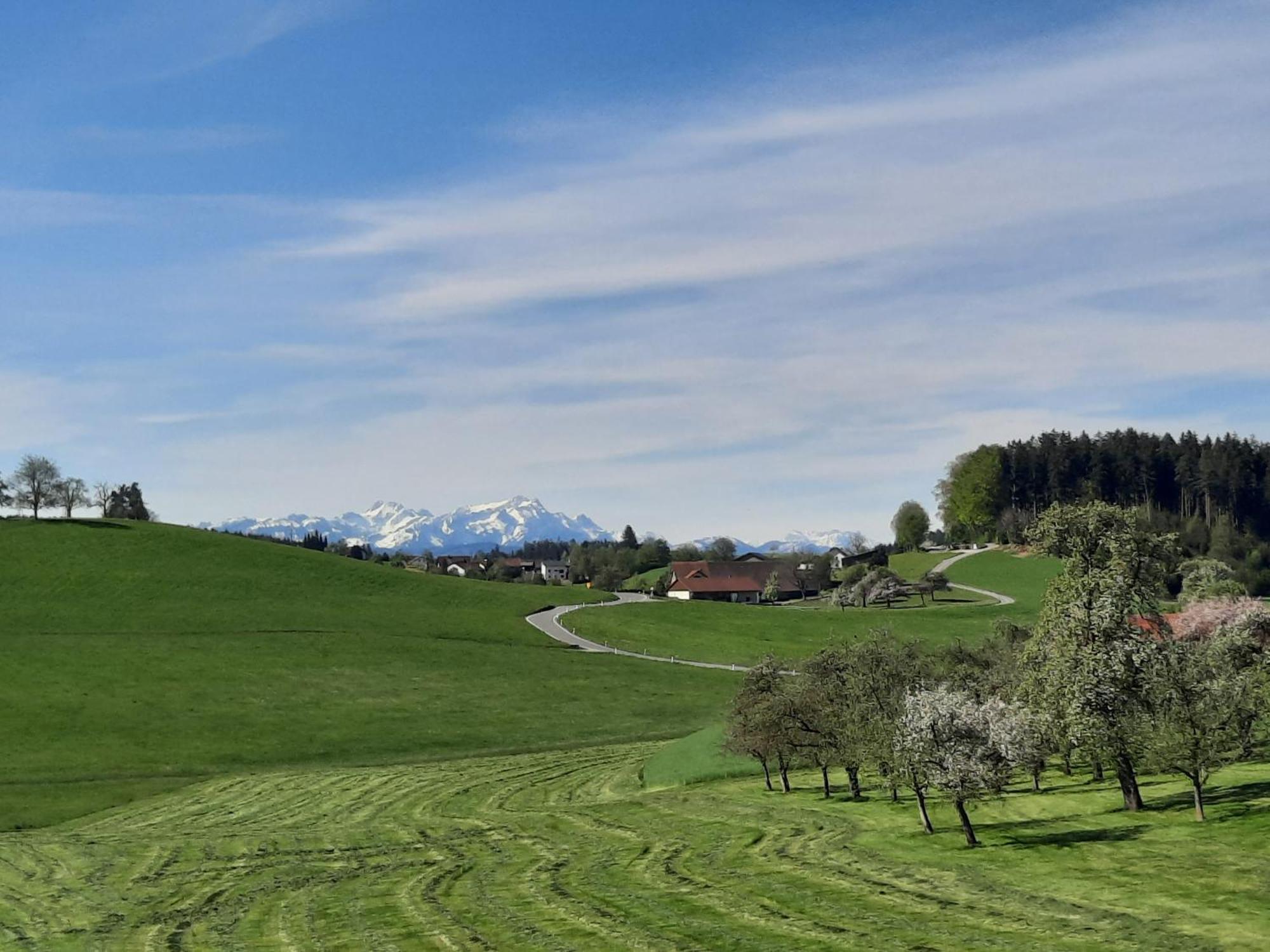 Ferienwohnung Pusteblume Neukirch  Buitenkant foto